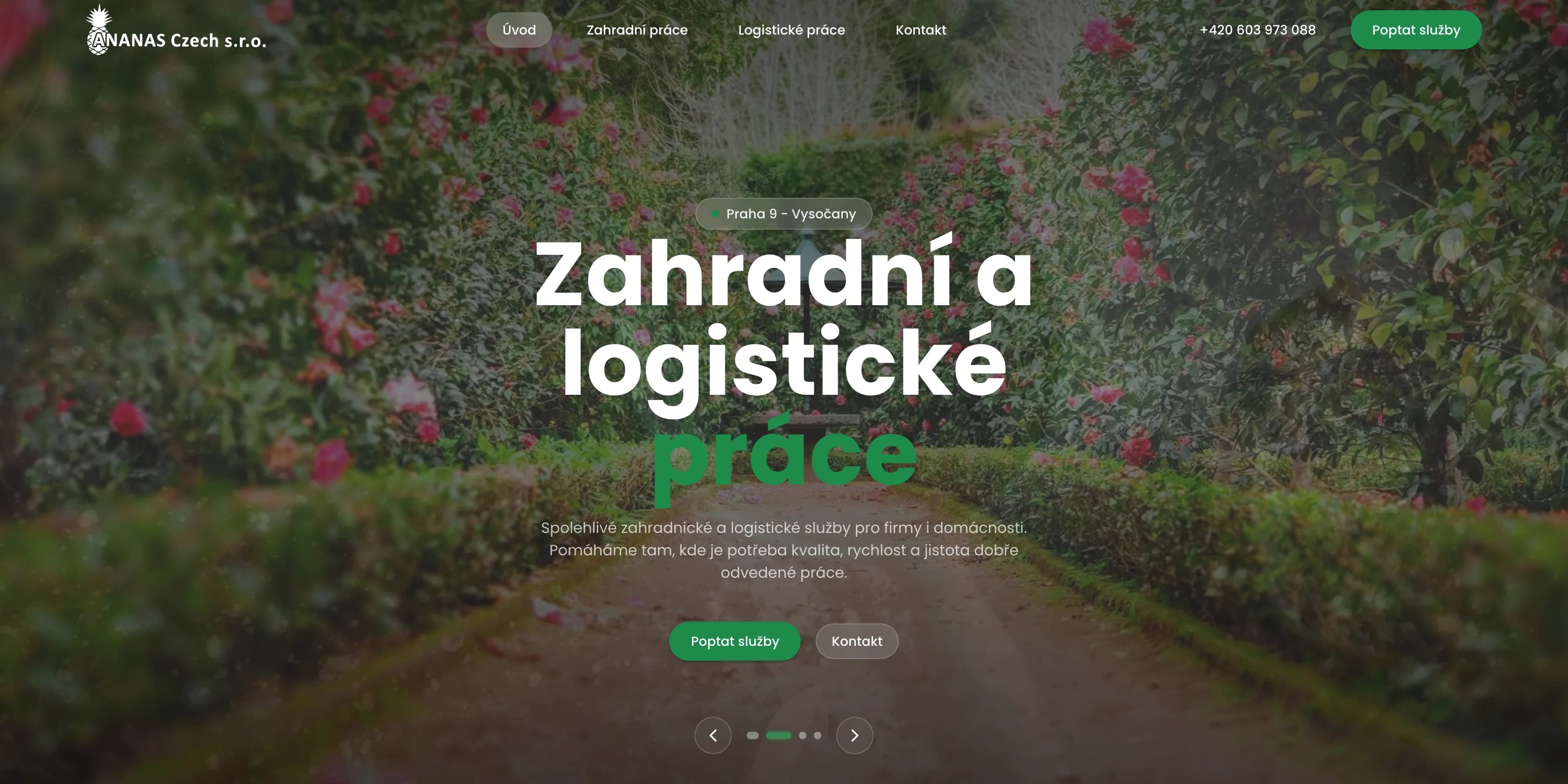 Úvodní stránka webu ANANAS Czech — desktop